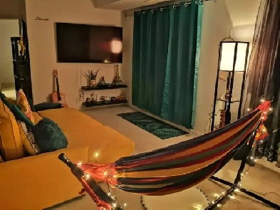For Rent Spacious   2 Bed 2 Bath LoftStyle Condo in Ottawa image