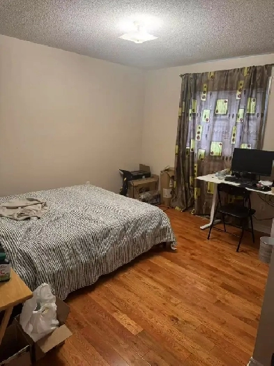 Newmarket Room for Rent image