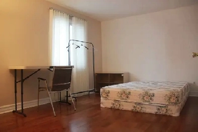 Bright Master Bedroom Near OTrain Plaza  Carleton USouthkey image
