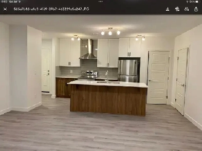 U of A area 2 BR basement of a house 1350 image
