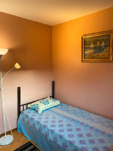 PRIVATE MASTER BEDROOM AVAILABLE FOR RENT  MARKHAM  SHEPPARD image