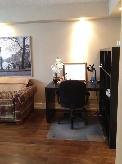 Newly renovated One Bedroom Condo for Rent in Norwood Flats image