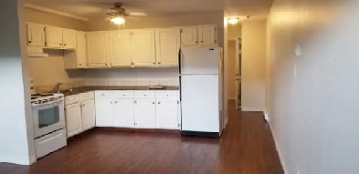 SPACIOUS  PET FRIENDLY image