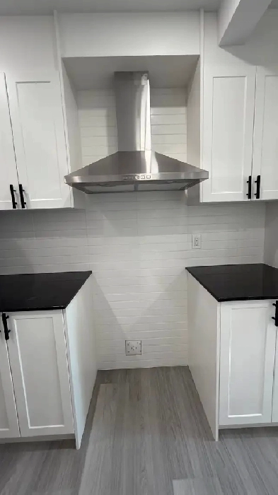 louer  Magnifique condo 4  entirement rnov  1050 pi image