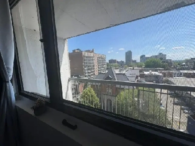 Studio for rent in Downtown image