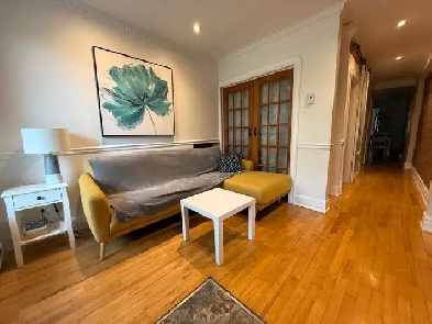 Cozy 1 bedroom    plateau Laurier image