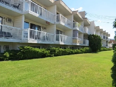 SPACIOUS  PET FRIENDLY  1 BEDROOM  DEN image