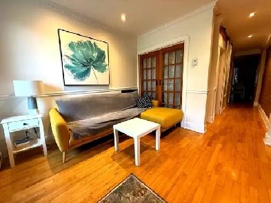 1 bedroom plateau 1650month image