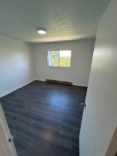Grand 4 12  louer  Sherbrooke secteur Fleurimont image
