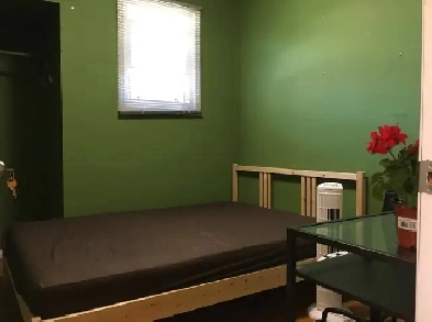 Private room  for rent  female only image