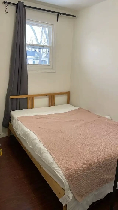 Private room  for rent  female only image