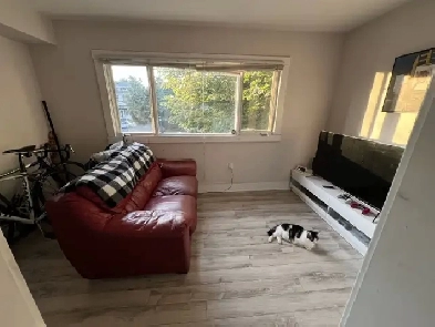 Sept 1st  New Reno Large One Bright Bedroom Center Halifax image