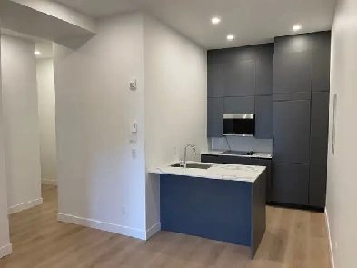 Renovated 35  Plateau MontRoyal  Available Now  Sept 1 image