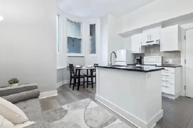 Fully furnished 1bed apartment in Downtown Ottawa available NOW image