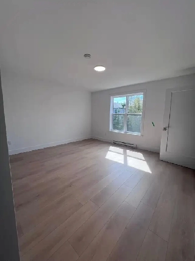 3 bedroom house and 1 bedroom basement for rent image