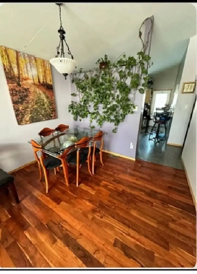 Room available for rent image