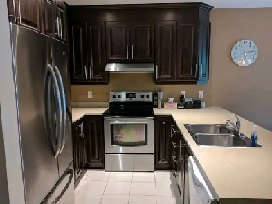 Mignon 4 1/2 dans quartier branché du Plateau Mt Royal Image# 1