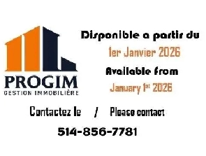 2 CH - 1 SDB - Montréal - $9,999 /mo Image# 1