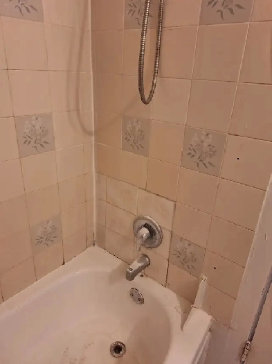 2x 3 1/2 libre immédiatement 1250$ Image# 1