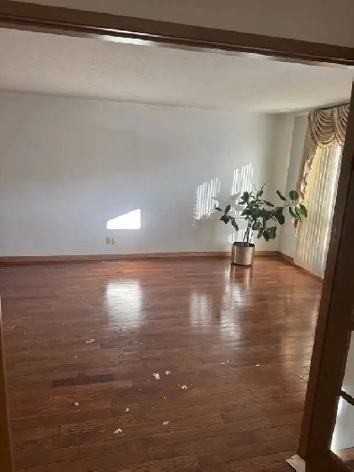 TWO BEDROOM HOUSE FOR RENT IN BRIDGELAND! MAIN LEVEL. Image# 1