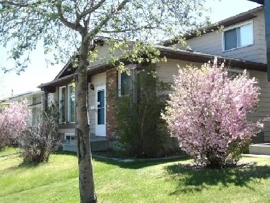 Room near Rundle NE, Mall and Hospital Image# 1