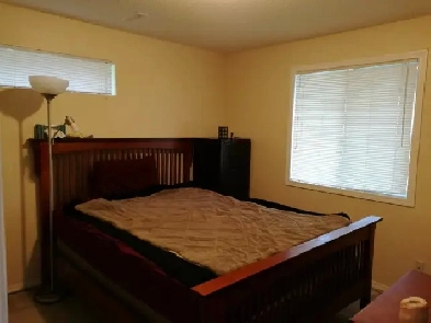 walkout basement suite for rent in Jan 2026 Image# 1