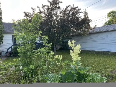 One Bedroom Basement Suite in a Prime Location Image# 1