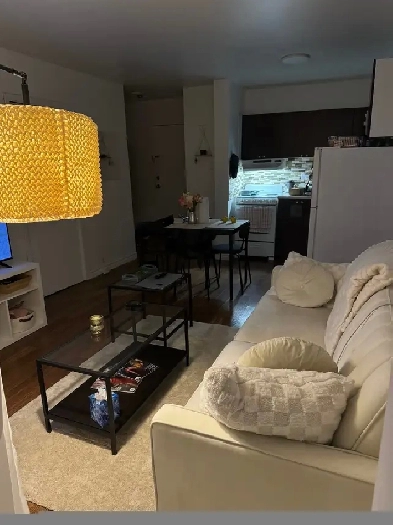 3 1/2 à louer centre-ville TRANSFERT DE BAIL Image# 1