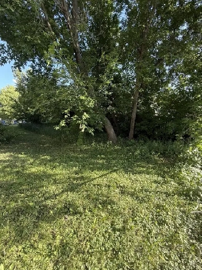 VL in Point Douglas! Great Opportunity for Builders/Investors! Image# 1