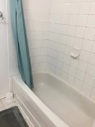 Bright Master Bedroom Near O-Train, Plaza, & Carleton U，Southkey Image# 1