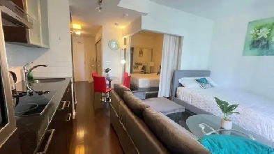 full furnished condo downtown close to Union Station Image# 1