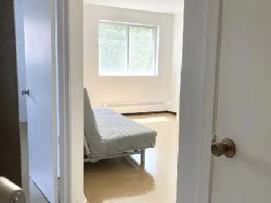 3 1/2 meublé, métro Beaudry, UQAM, ETS, Concordia, CHUM, Mc GILL Image# 1