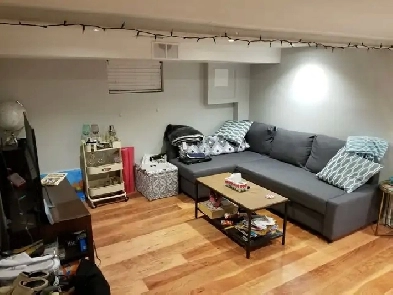 1 Bed Basement Corso Italia Image# 1