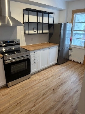 3   louer  Rosemont Masson  3e Avenue  1 550 mois image