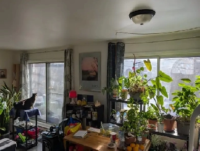 4   1325  Mars 2026  MTLPointeauxTrembles image