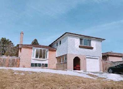 UTSC and Centennial College 3 rooms apartment for rental image