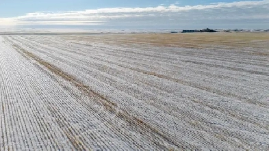 NEW LISTING AVAILABLE!  8 Quarters | Kayville, SK Area Image# 1