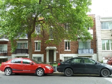 logement 5 1/2 à louer Image# 1