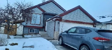 basement for rent Image# 1