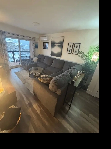 2 bedroom one bath apartment for rent Image# 1