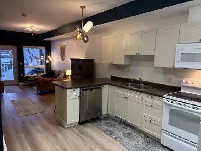 Fully furnished, pet-friendly, downtown Whitehorse Condo Image# 1