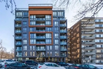 7e étage condo studio lumineux Univ de Mtl Image# 1