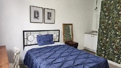 Chambre meublee Bain prive Berri Uqam Room with private bath Image# 1