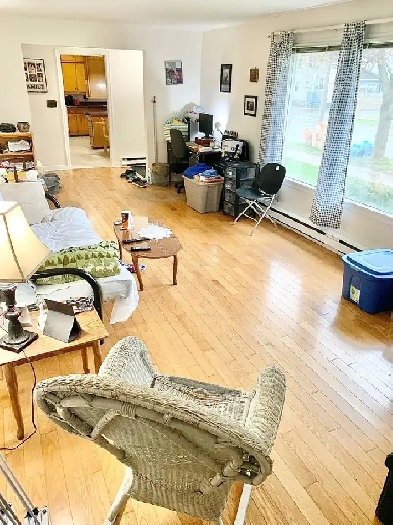 Room Rental (Large Downtown 2 Bedroom Apartment) - March 1st Image# 1