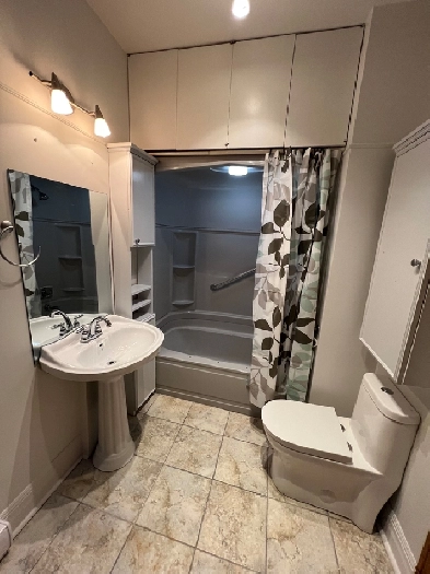 Superbe 5 ½ rénové à louer dans Villeray Image# 1