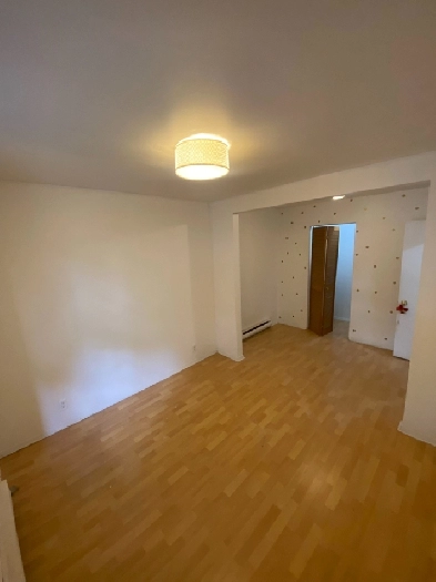 Grand 3 et 1/2 Logement à louer À côté du métro Rosemont Image# 1