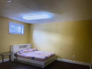 Basement Bedroom in a Large House in Edgemont Image# 1