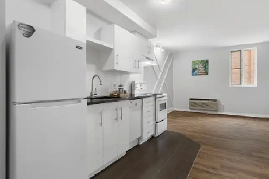 Renovated apartment in Downtown Ottawa! Image# 1