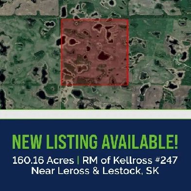 1 Quarter of Productive Farmland | Near Leross & Lestock, SK Image# 1