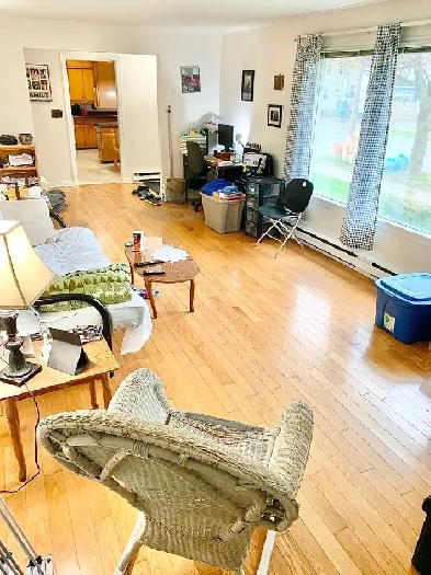 Room Rental (Large Downtown 2 Bedroom Apartment) - March 1st Image# 1